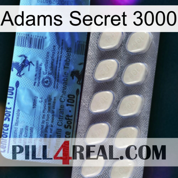 Adams Secret 3000 34.jpg